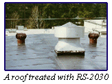 A Roof Treated with RS-2030